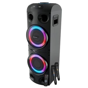 DJ Party Speakers